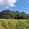 观山诀