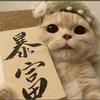 时祎