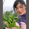 子诺农品小铺