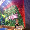 寇寇麻麻(伙伴计划)