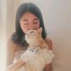 在救猫的天天