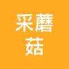 重庆垫江来趣玩打野呀