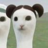 我是一截枯木.