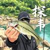 韦探路亚🎣