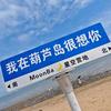 嗷嗷陈ai溜达(刘铮亮对视版)