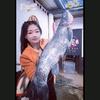 不会钓鱼的塘主姐