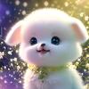 广西中华田园犬