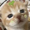 勇敢直前