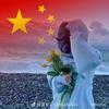沈念/.🍚