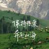 你家大弟啊
