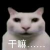 子非鱼