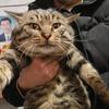 满山猴子我腚最红