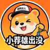小荐雄出没