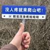 ༺王旺王༻
