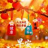 半身从容