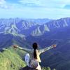 追风的艺林