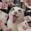 小念心绪万千.