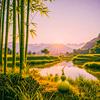 沉沉沉、醉╮