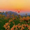 最美夕阳红