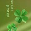 四叶草🍀🍀