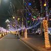 君君向前冲鸭～
