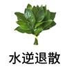 高分小锦鲤！