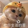颇具月