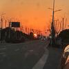 林深见路(上海网约车)