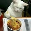 丽丽隆隆