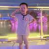 飞龙