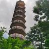 阿游