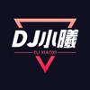 DJ 小曦Music🎵（车载优盘🎶）