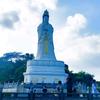 科影流年