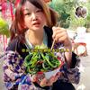 小小风