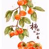 这样就好_216692905