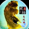 阿明太阳☀江湖日月