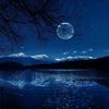 行走的🌙月亮