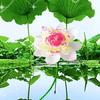 @涣涣