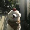 现即是常态