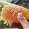 🍋(🧡小ྀི💛梁ྀི❤️