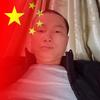 虎行天下