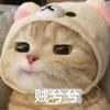 五千万