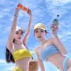 一入江湖岁月催