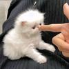 9键