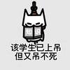 小琪不是棋子
