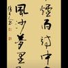 小刺猬