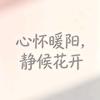 南风知心事