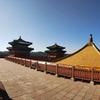 背靠金山