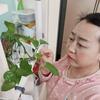 刘老三