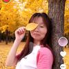 梦里花落知多少